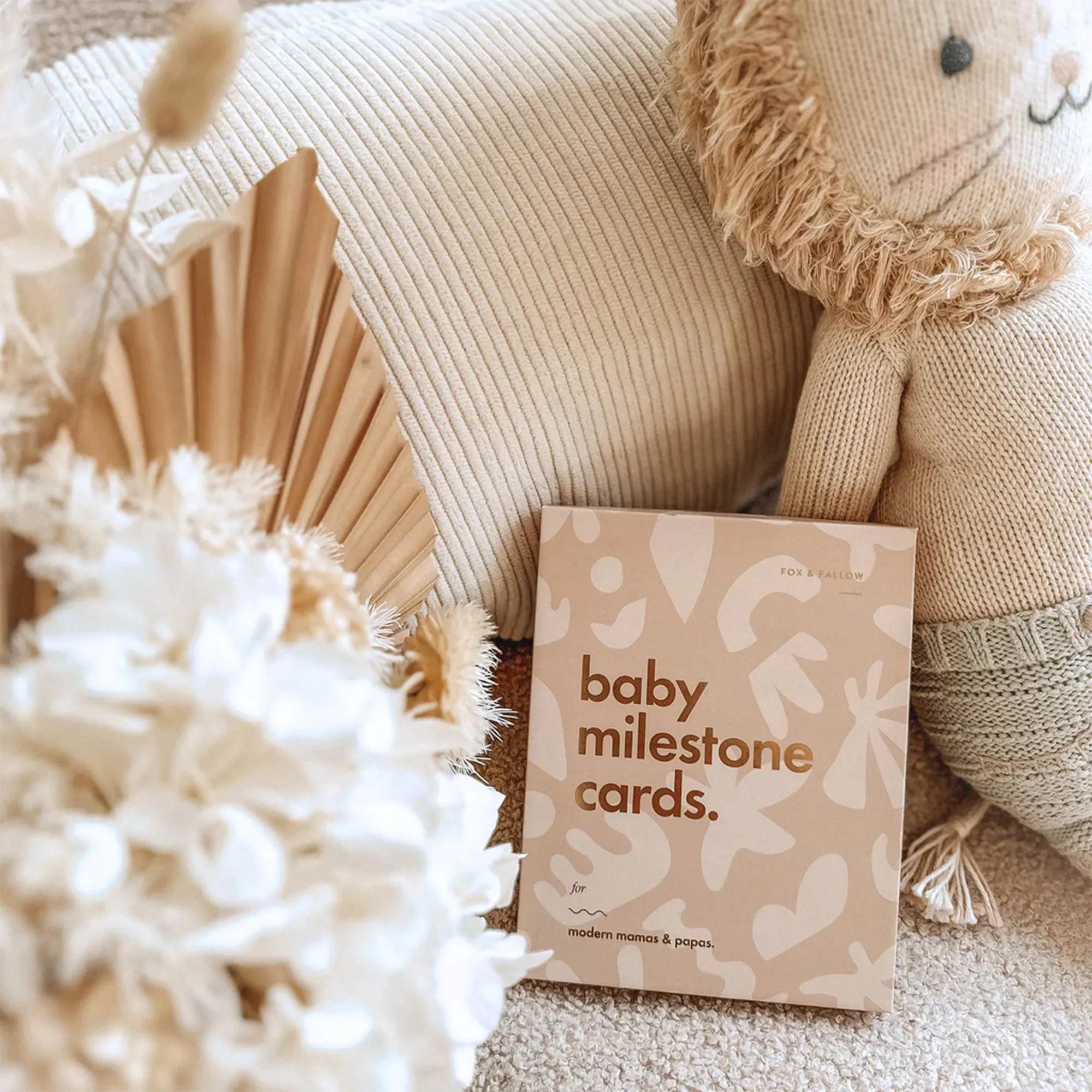 Baby Milestone Cards - For Modern Mamas & Papas