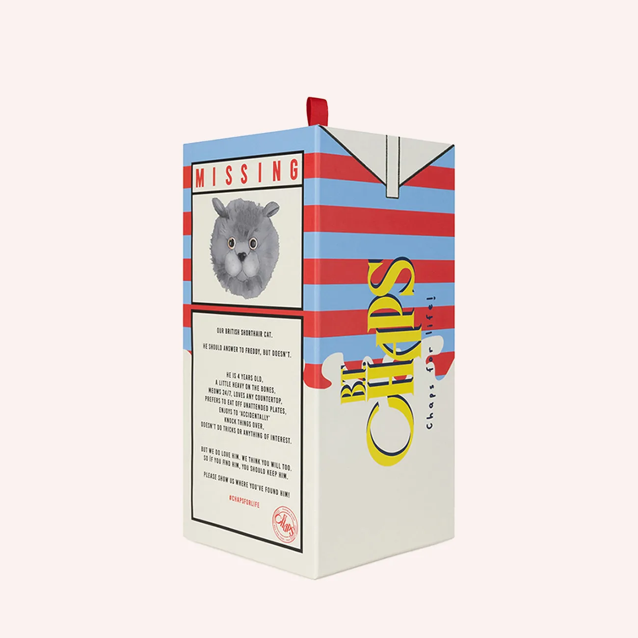 Freddy the British Shorthair in giftbox