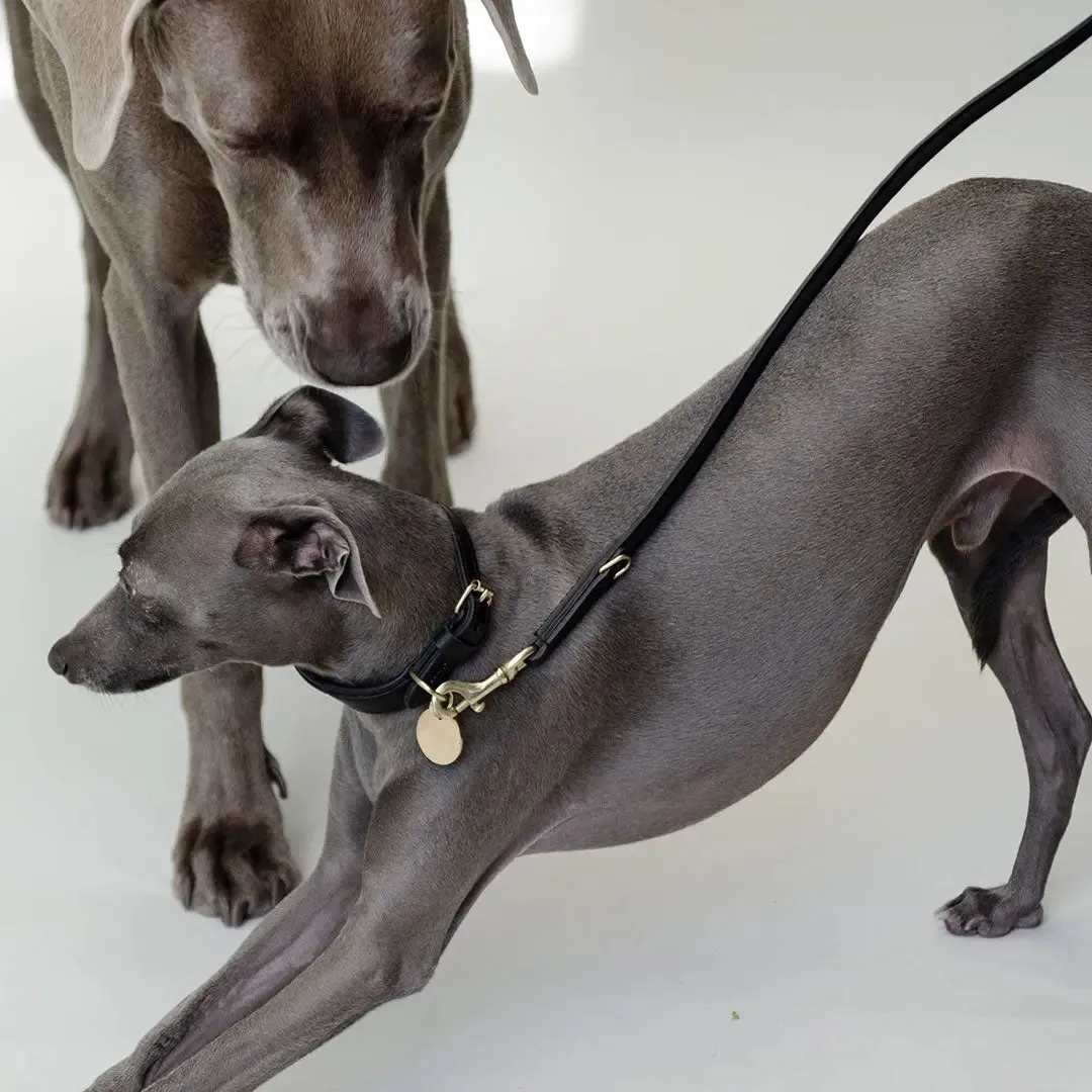 Lederhalsband für Windhunde - "Nappa Greyhound" - black